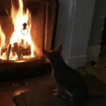 Jak dbać o komin