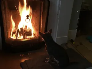 Jak dbać o komin